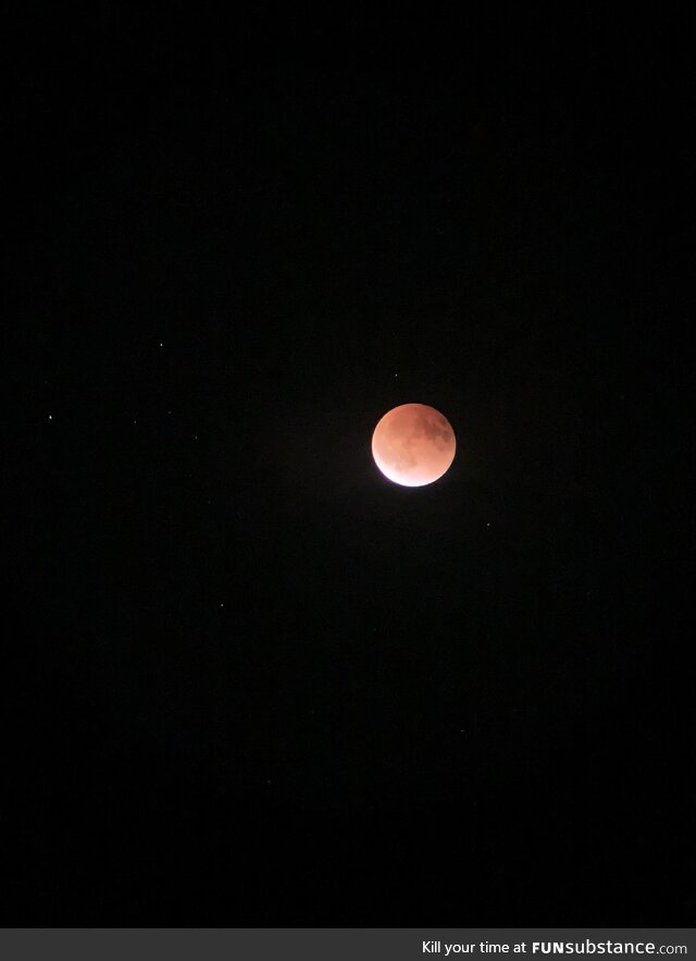 Blood moon eclipse (fl)