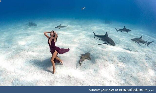 Guinness record with a photo shoot 40 meters under the sea