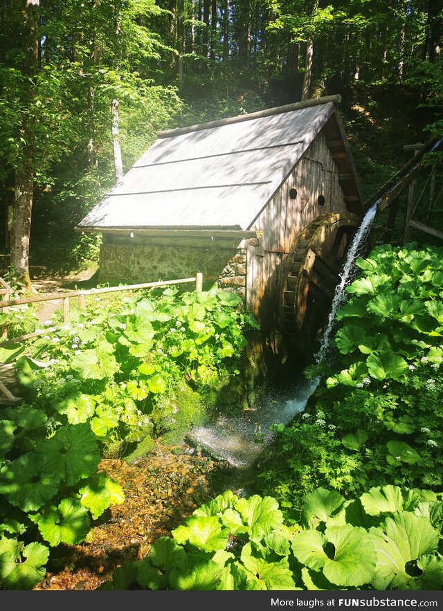 [OC] old watermill in the forest