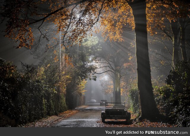 Foggy evening in Belgium