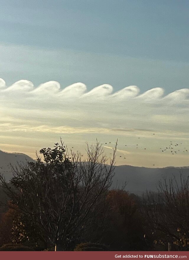 Kelvin-Helmholtz clouds in Tennessee