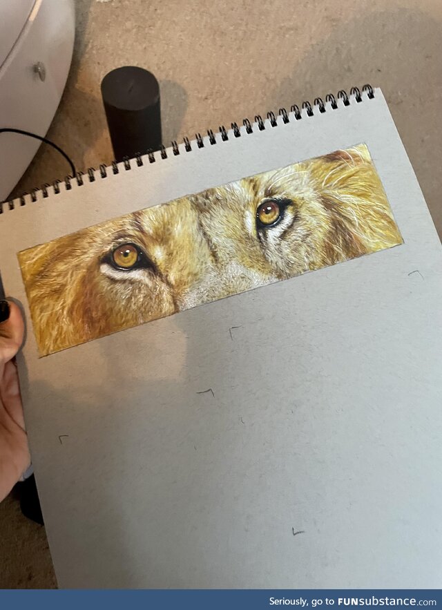 Lion eyes drawing - took a few hours but all done