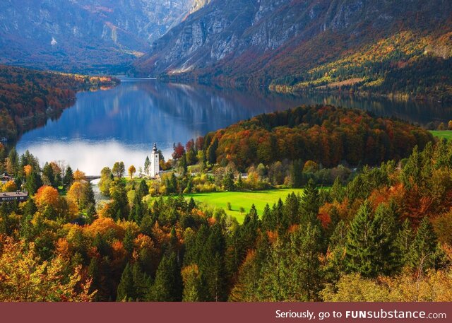 Stunning forests around Lake Bohinj in Slovenia, in Autumn