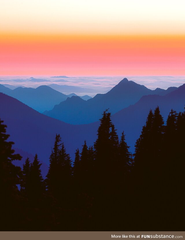 Layers of Washington on the Olympic Peninsula