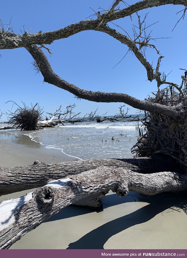 Quiet beach on Hunting Island, SC