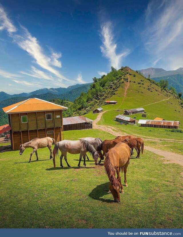 Amlash is a quiet village in Iran. It has feral horses just roaming around