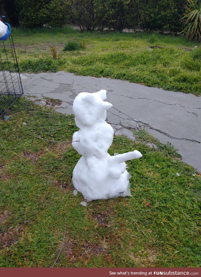 We haven't had snow in our town since 1988, this survived the night