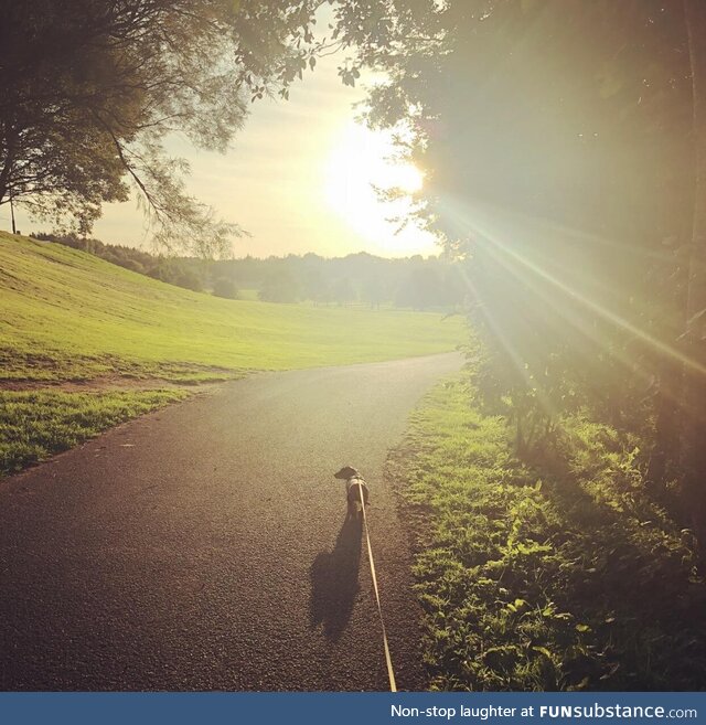 Late autumn walkies