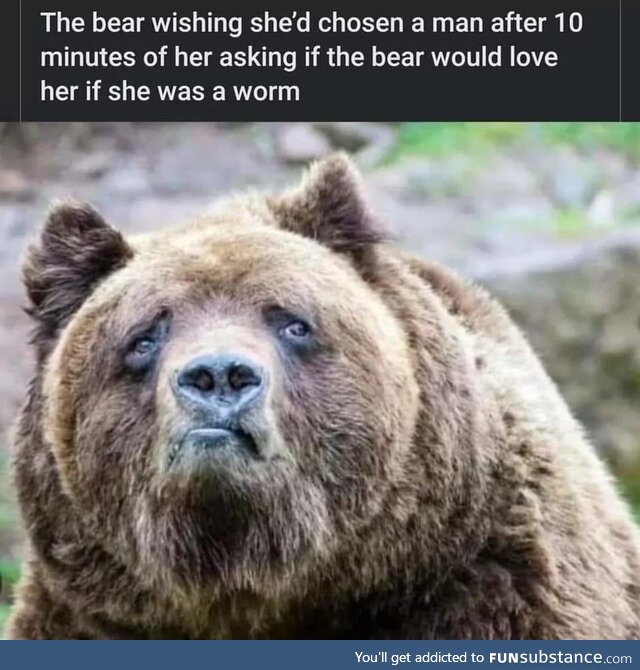 Berated bears begin begging