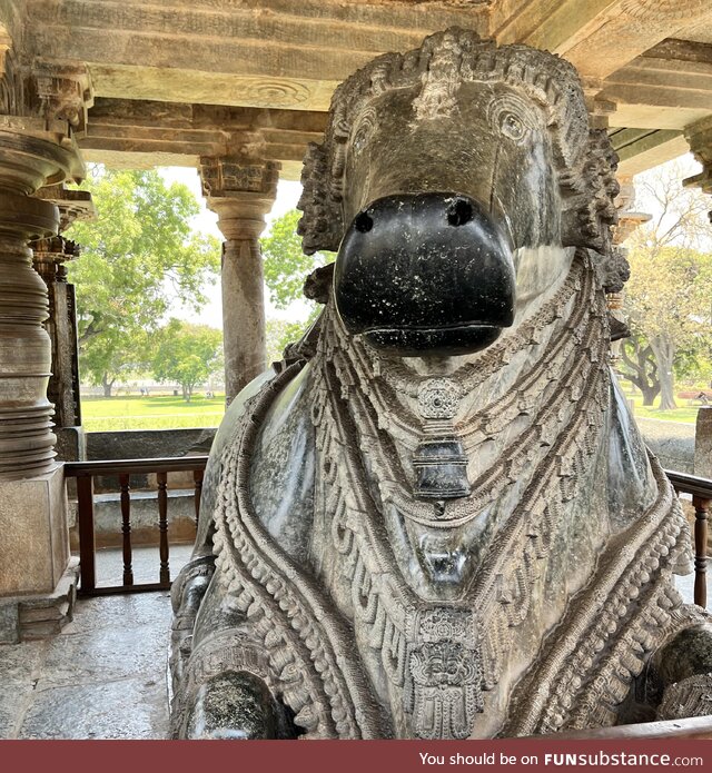 One of the largest Monolithic Nandi (Cow) sculpture, Hoysaleswara Temple, India