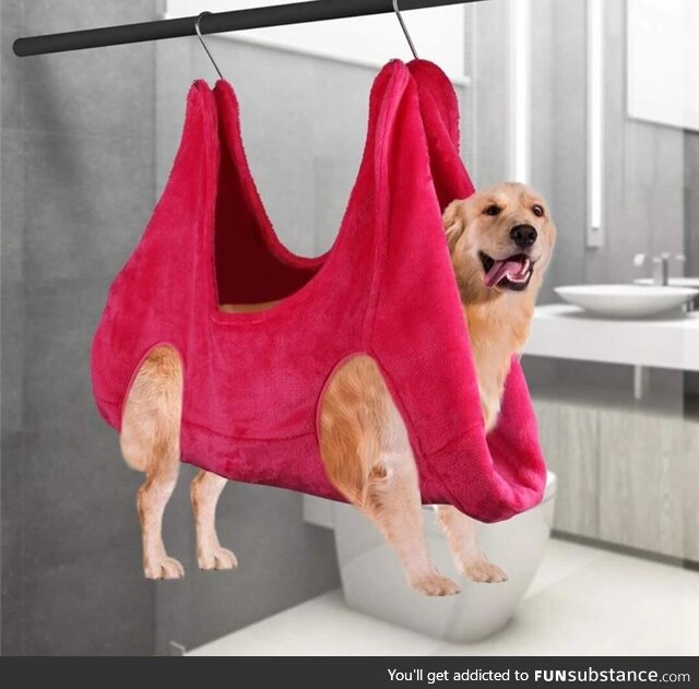 Don't mind the dog he's just hanging out to dry