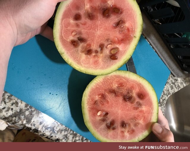 Our first watermelon