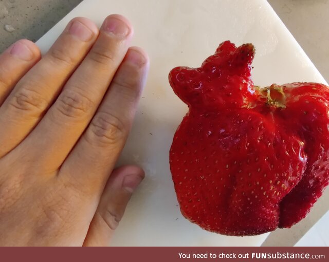 This freak strawberry we got looks like Winnie the Pooh