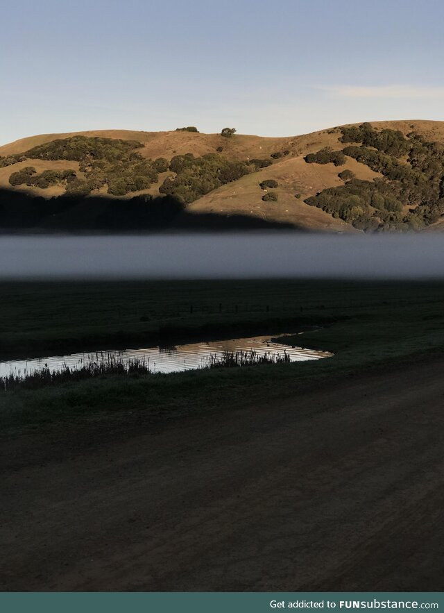 Fog line through the farm