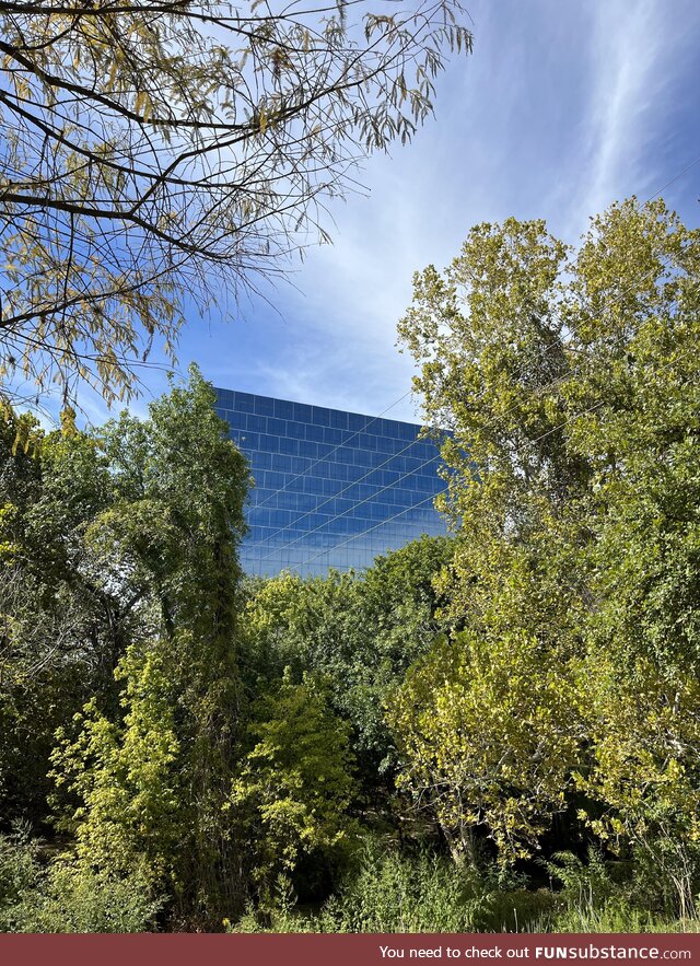 The way this building is framed through the trees, looks like a glitch on the Truman Show