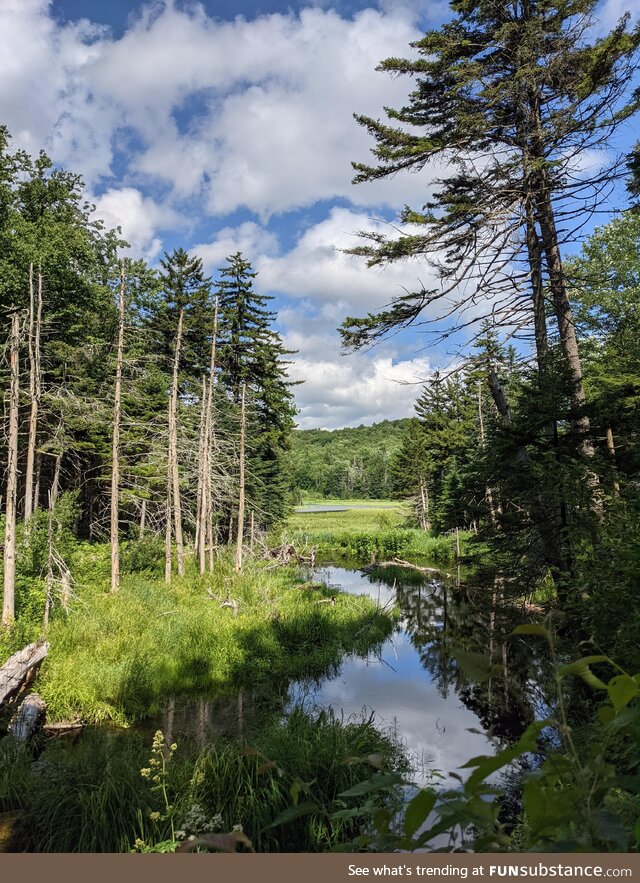 A view in Vermont