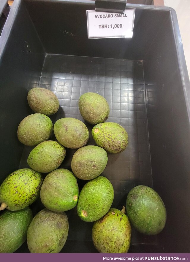 "Small" avocado in Tanzania for 1000 shillings or $0.40 USD