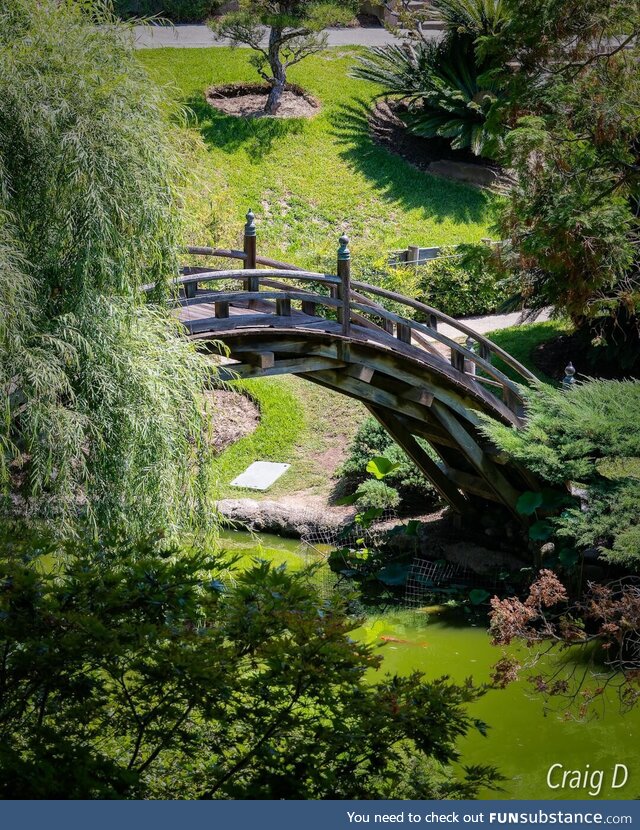 Japanese Garden at the Huntington [oc]