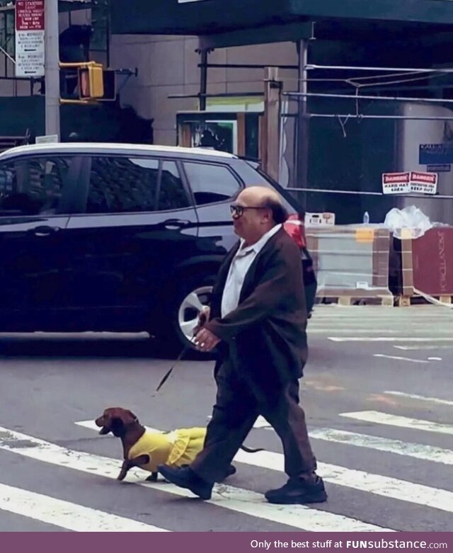 Mini man walking with his Mini dog