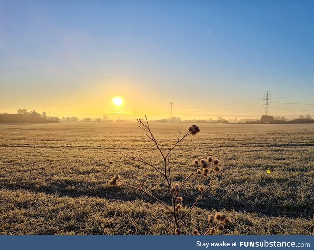 [OC] Even the danish morning sun, is cheering for Ukraine