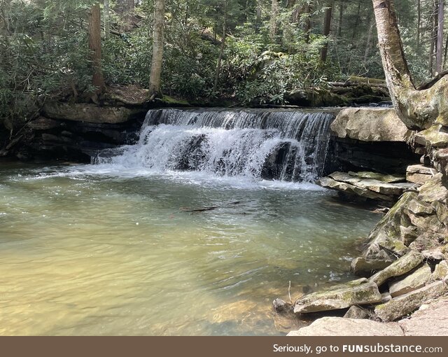 Swallow falls, md 4-30-22 (oc)