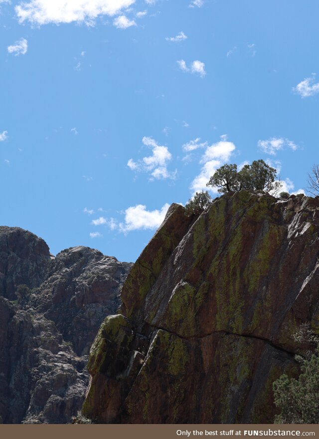 The lincoln National Mountains, New Mexico