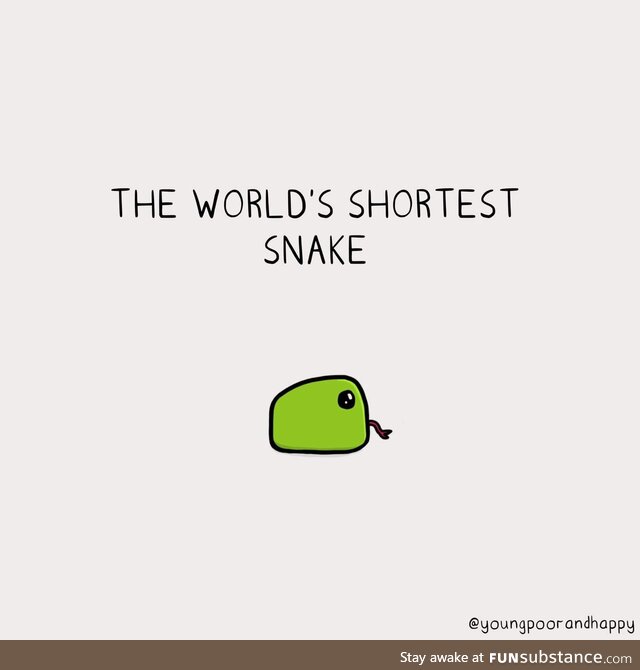 The World's Shortest Snake