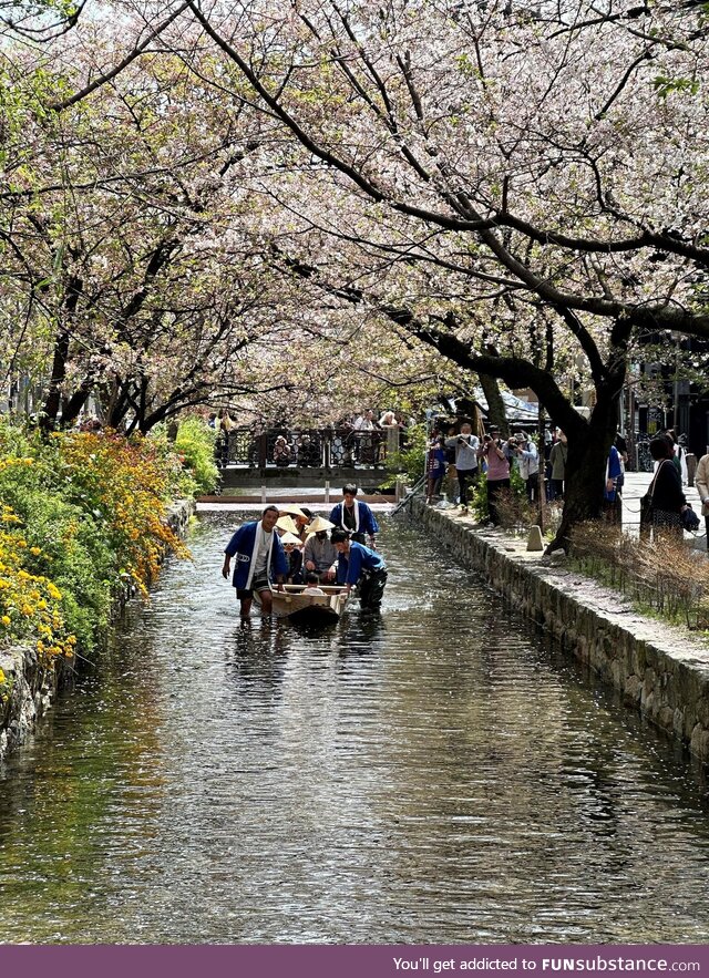 A random glimpse while walking back from dinner in Kyoto about 10 days ago