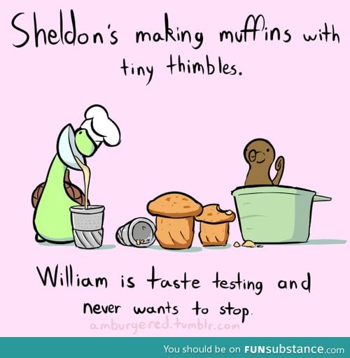 Muffins