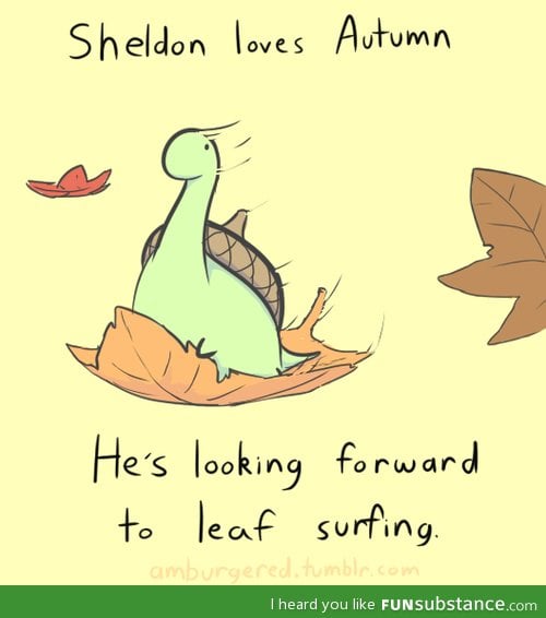 Leaf Surfing