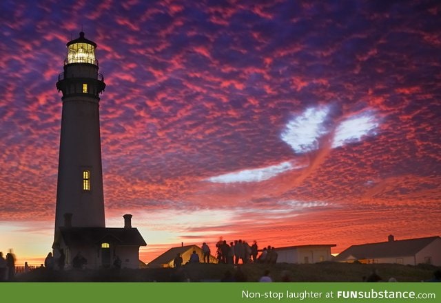 A sky whale spotted in california