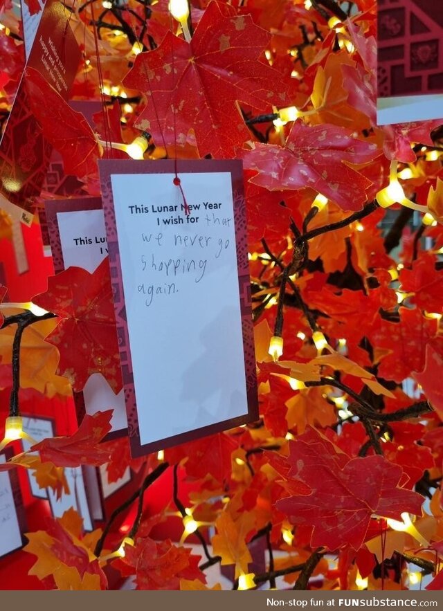 A kid’s wish on a mall’s lunar new year wishing tree