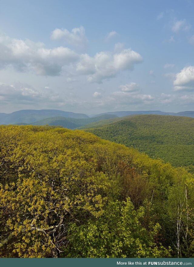 View from fire tower on Mt. Tremper - upstate New York