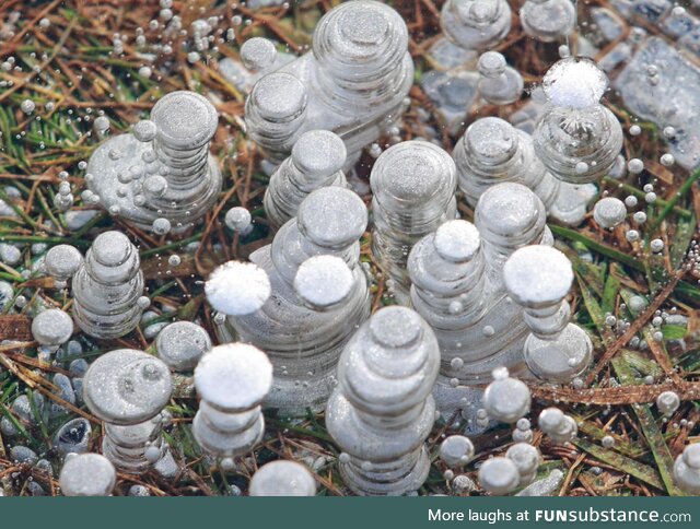 Air bubbles trapped in a shallow frozen puddle