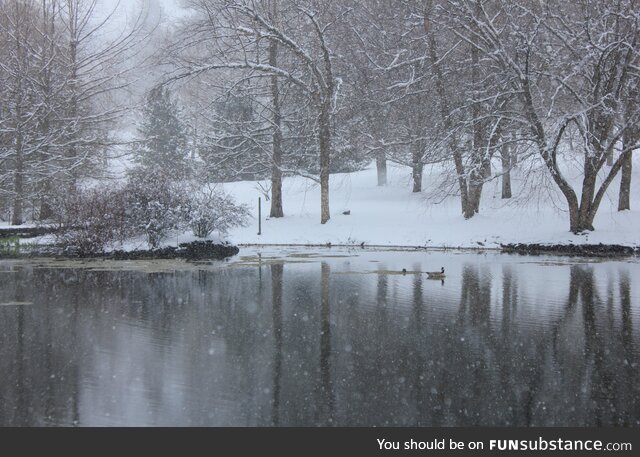 [OC] Pond in spring snowstorm