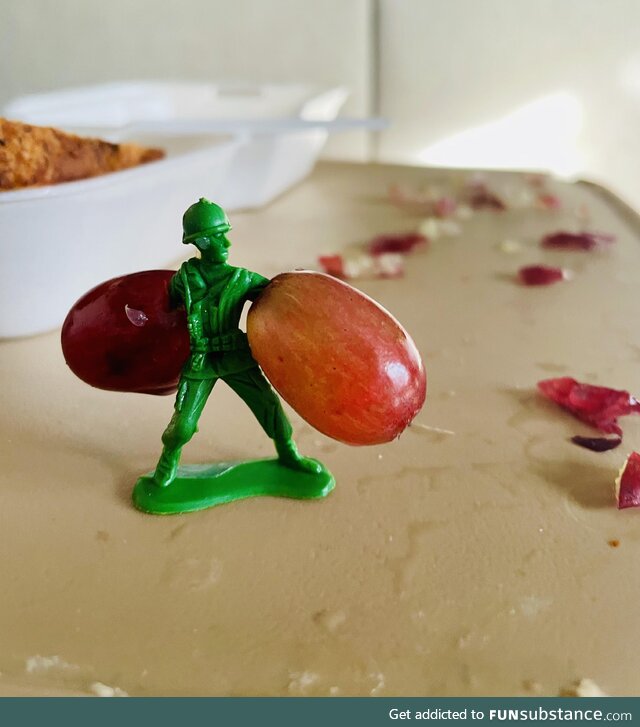 Toy Soldier Lives to Fight Another Day in the Toddler Food Wars