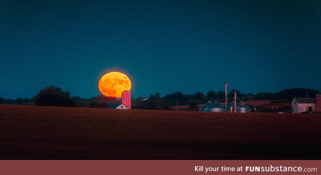 Once in a Blue Moon you find a Pink Silo…