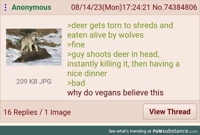 Anon doesn't like Vegans