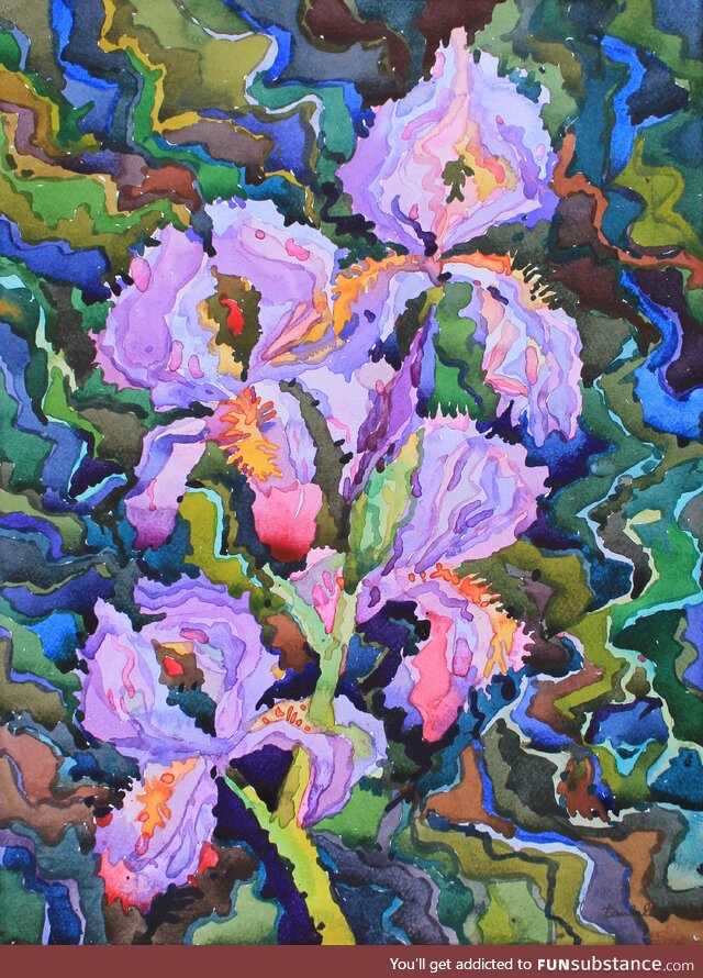 Lavender Irises, watercolor painting, 15x11 inches, the sunset highlighted irises in the