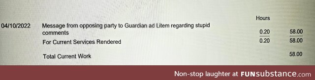 This line from an itemized statement from our family court attorney