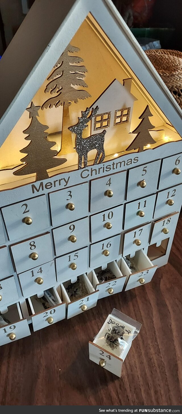 Advent calendar mom's neighbor gave her with all the different strains of weed she sold