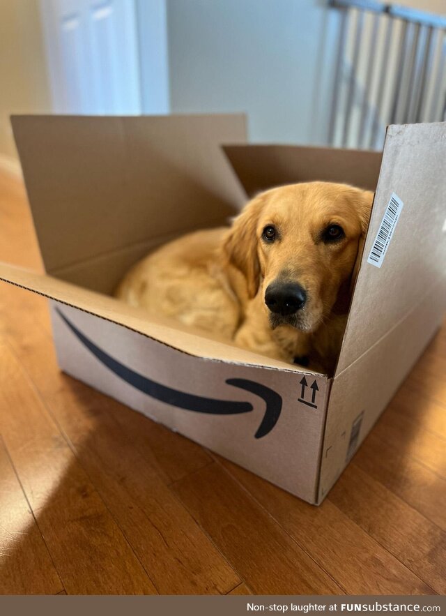 Cutest delivery ever!