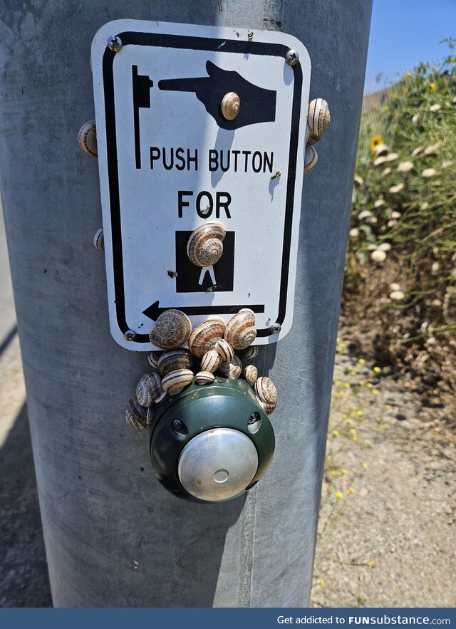 Push button for snail