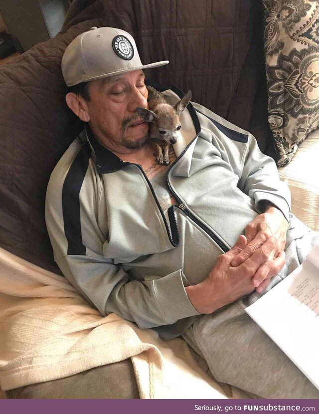 Actor Danny Trejo mourns 'funny' Chihuahua: "Dixie" before she died at age 16