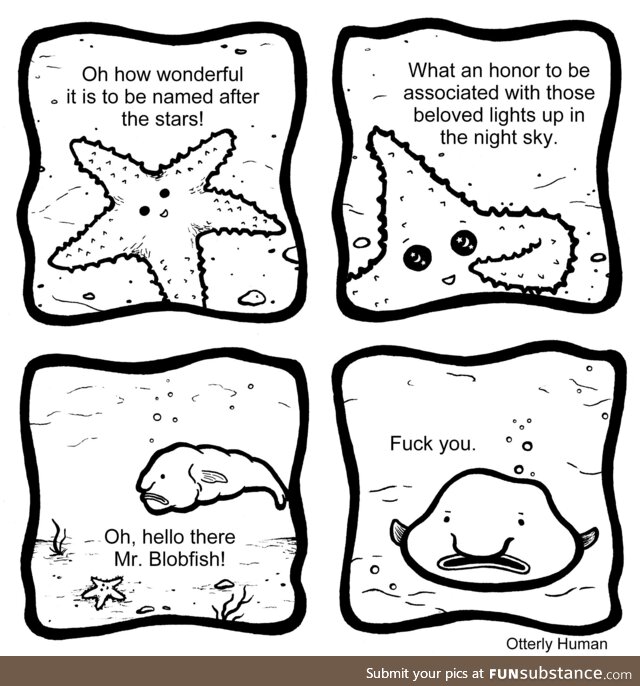 Starfish [oc]