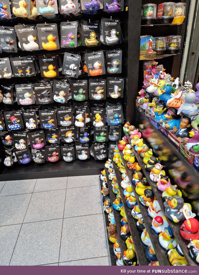 Duck Shop in Amsterdam