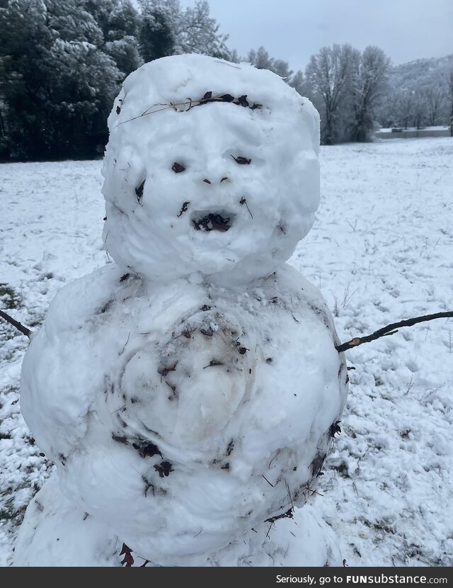 Rare snowfall in California. Friend set out to make a “realistic” snowman…