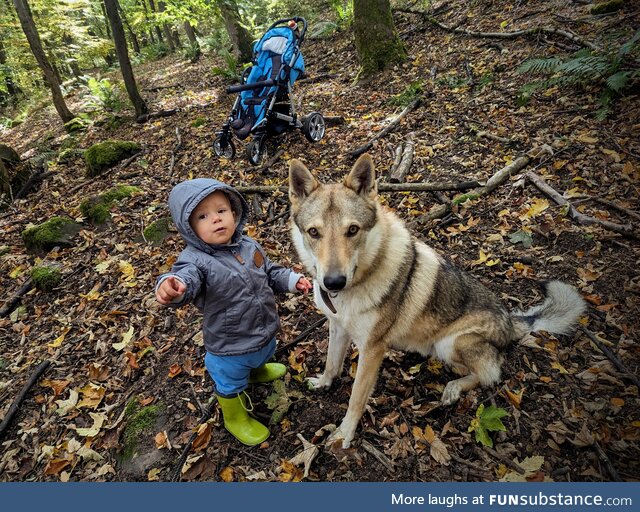 My son and my dog on a walk in forest