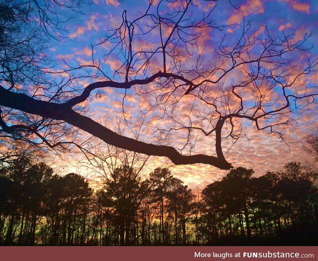 Cherry blossom clouds