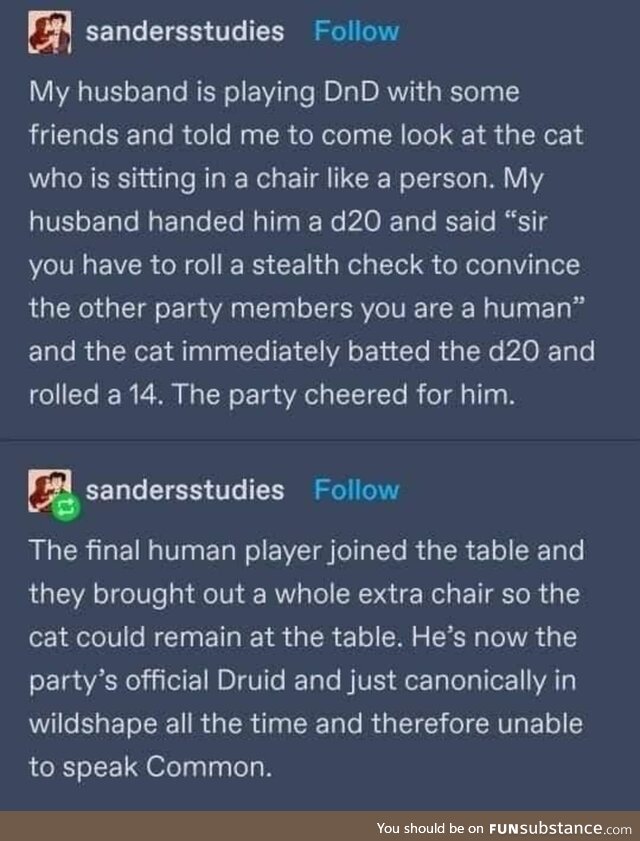 A druid joins the party